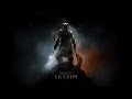 The Elder Scrolls V: Skyrim [Intel Atom Z3740] 