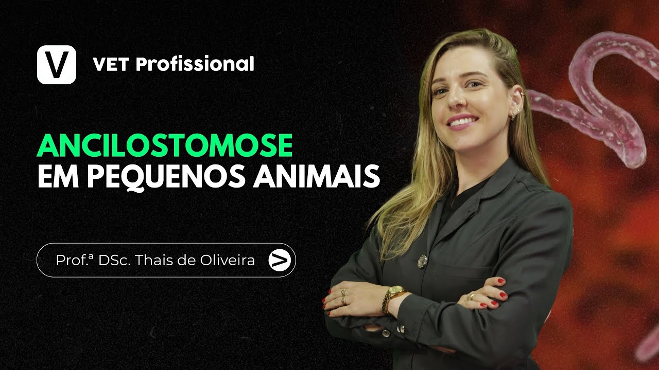 Ancilostomose em Pequenos Animais | VET Profissional