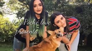 Video Calle y Poché/ frutica Pal alma