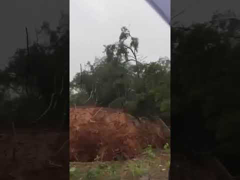 Temporal em Tomazina-PR (01/10/2026)