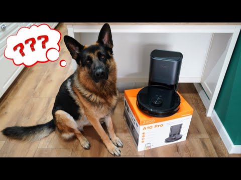 Saugroboter Test (ZACO A10 Pro) Für Tierhaare!?