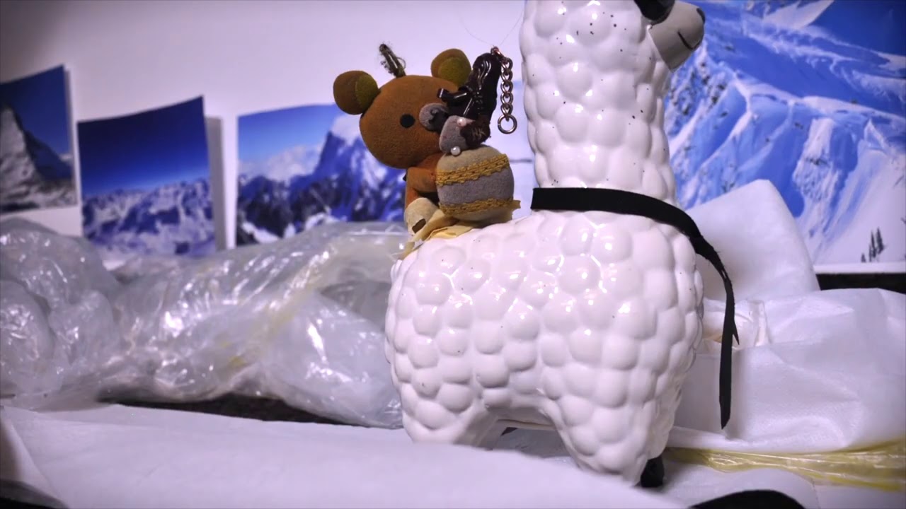 Teddy, le monteur de lama