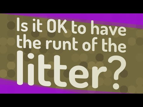 Is it OK to have the runt of the litter?