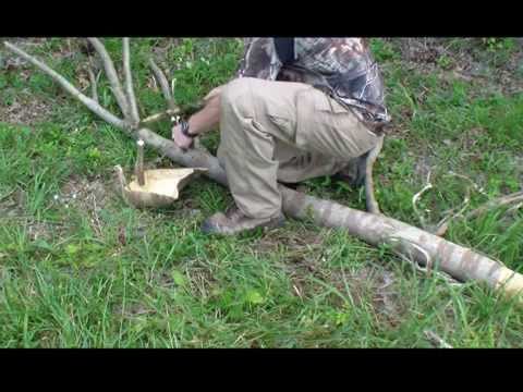 Mulberry: Cordage and A Bark Container