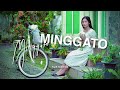 Topik Sudirman Minggato OFFICIAL VIDEO