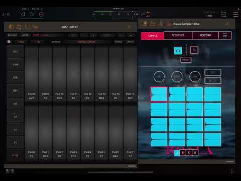 KB-1 for Note Repeat in Koala Sampler