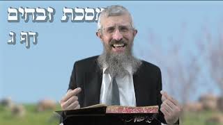 מסכת זבחים דף ג - 8 דקות של לומדות ועמקות בדרך הלימוד הישיבתית [Zevachim 3]