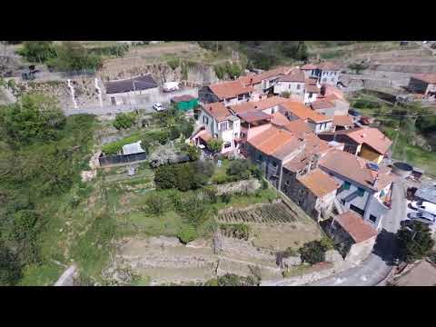 AMAZING RIALTO LIGURIAN