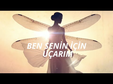 I Fly For You - Carnival Row / Aisling Querelle ( Türkçe Çeviri )