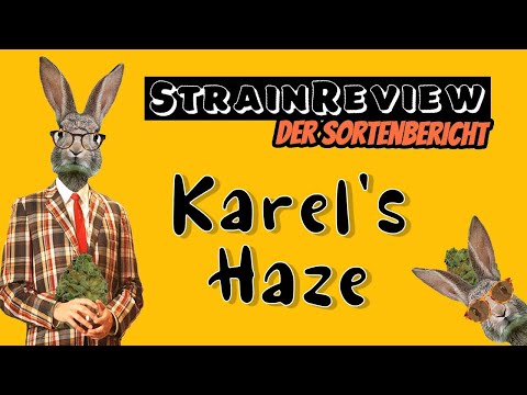 Der medizinische Sortenbericht - Karel's Haze