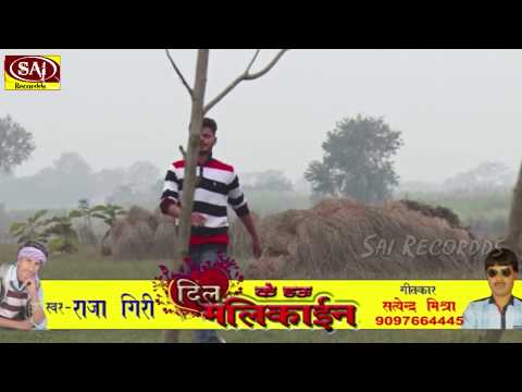 Kavin solanki Dil ke hau malikayin