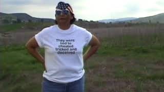 The Shirt - Shelley Niro