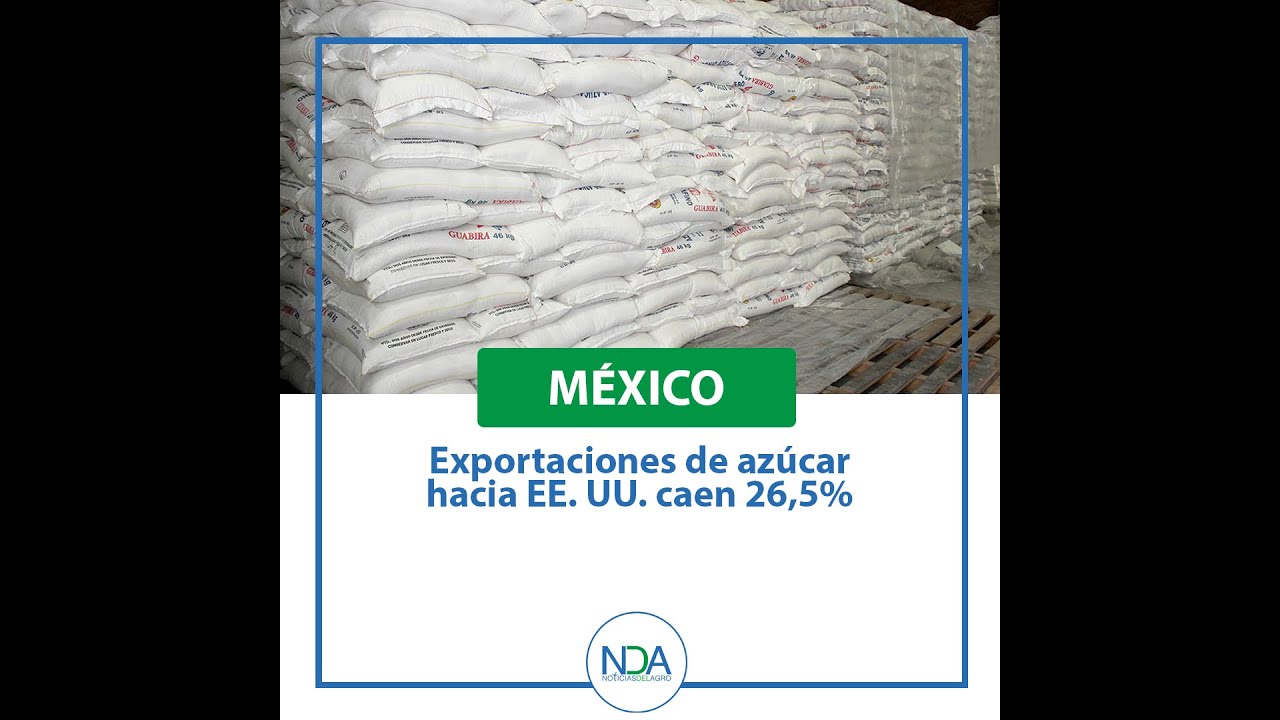 Noticias del Agro: Avances del sector ante la pandemia. Reporte especial desde el Paraguay