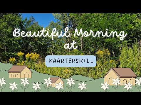 BEAUTIFUL Morning at Kaarterskill, Catskill
