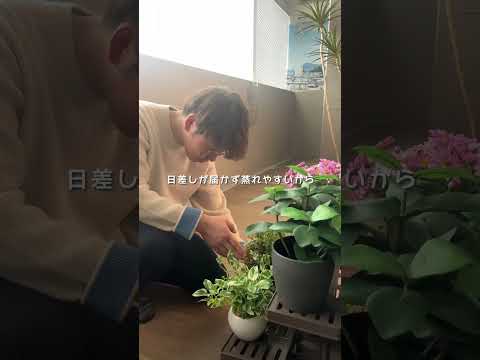 amenagement-balcon-banc-table-bois-coussins-carillon-éolien-plante-araignée aménagement balcon