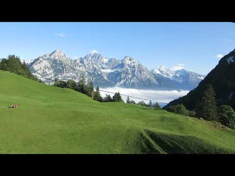 Luftseilbahn Waldnacht - Brüsti Bergfahrt - cable car Switzerland