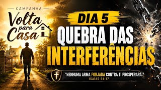 5° Dia de Campanha | Quebra das Interferências 