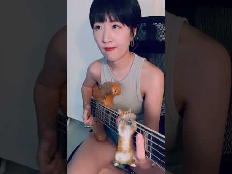 渣渣老師 Slap Bass 演奏縮圖（旁邊有貓在抓抓）