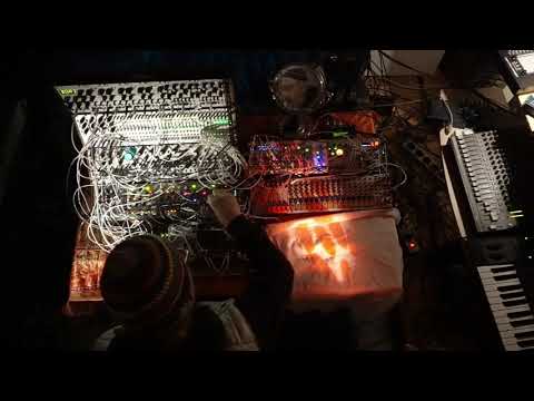Mutable Instruments Braids Renaissance