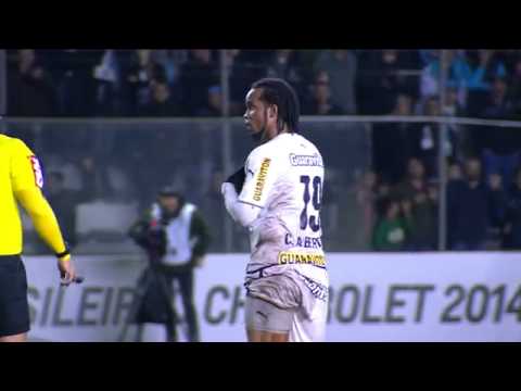 Grêmio 2 x 1 Botafogo - Brasileiro 2014 - 6ª rodada - [Melhores Momentos]