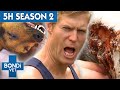 5 Hours Of Full Episodes Bondi Vet Complete Season 2 Bondi Vet
