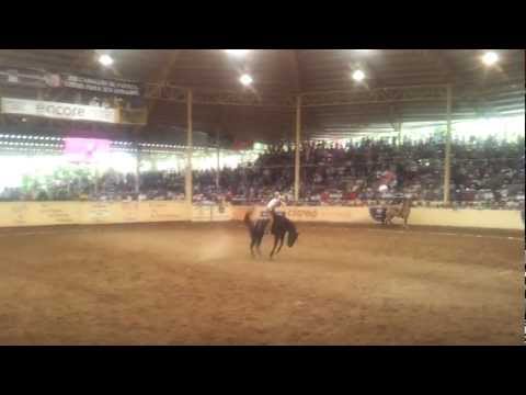 Accidente Jineteo de Yegua - Valle de Saltillo