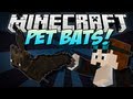 Minecraft | PET BATS! (Feed Them Pie & Call ...