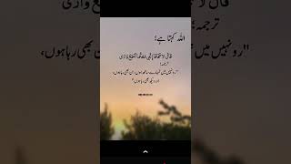 Download lagu Mola ya sali waa Salim 🥰 mp3 Download lagu Mola ya sali waa Salim 🥰 mp3