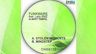 Funkware feat. Albert Tempel - Mindstep [DNBB132]