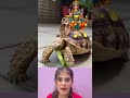 Yeh Thik H Shortvideos