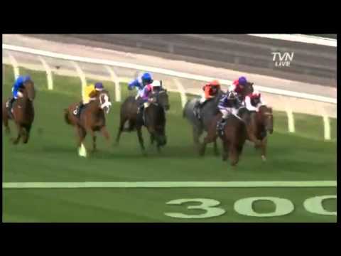 Australlia - Jockey Club - Europe - Russia