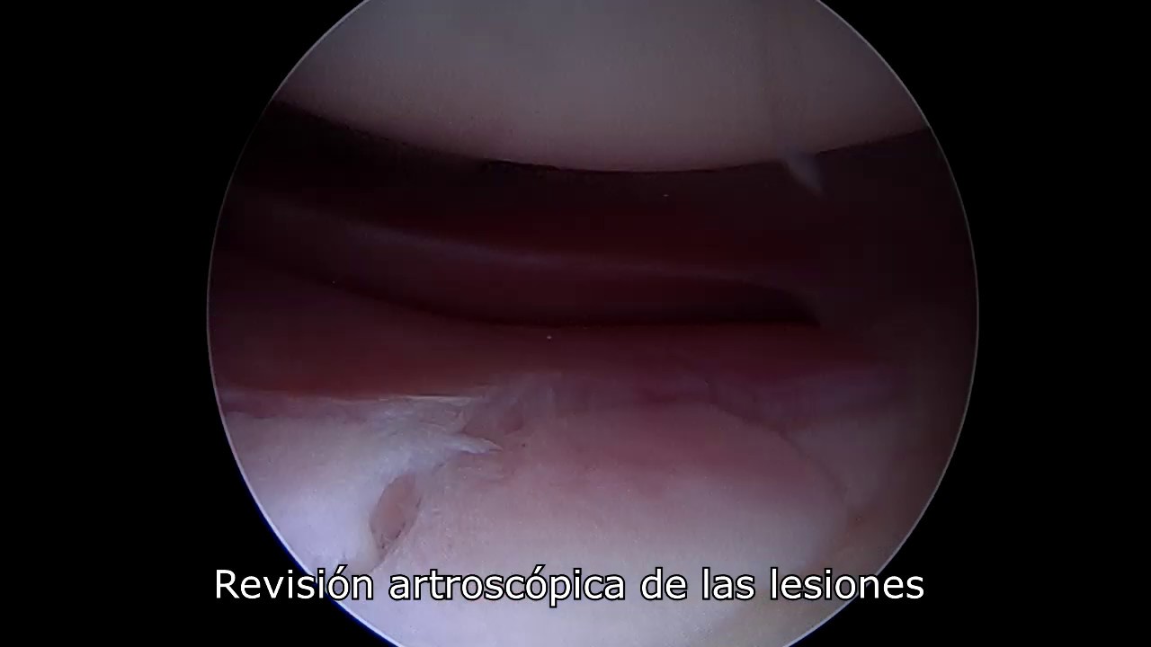 Víctor Roda Rojo-27