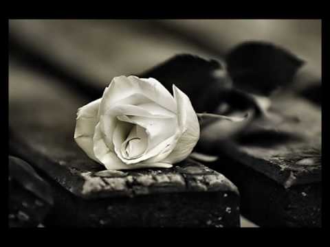 Hari Rončević - Kada jednom ovom zafalim se tilu