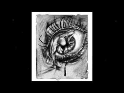 ENZO Y JAKSIC - NECTAR