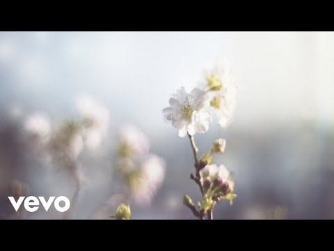 Akira Kosemura - Dear Sunshine (Visualizer)