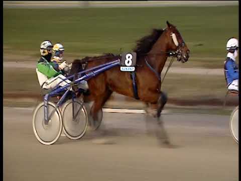 Trotto 18/01/2019 - 4ª corsa