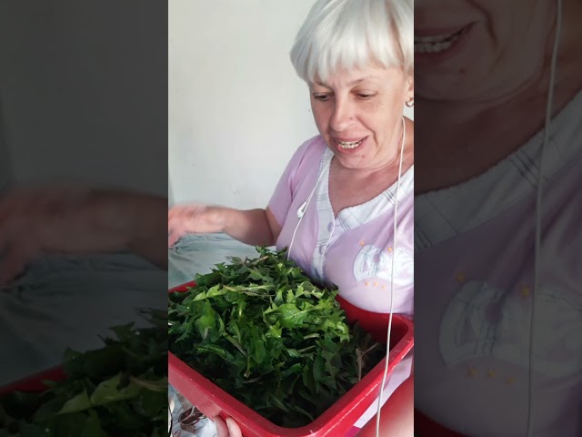 Youtube Video Youtube Video