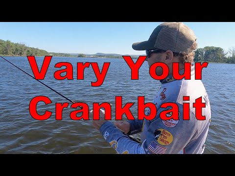 HOW to Vary your Crankbait Retrieve with Mike McClelland
