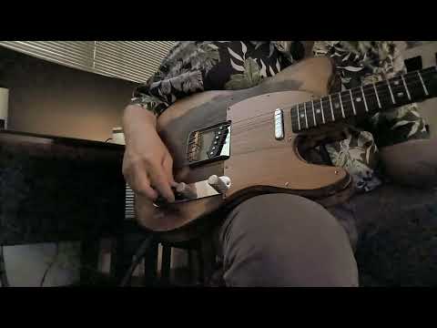 Fender Telecaster 1969 - Blonde (Refinished) image 23