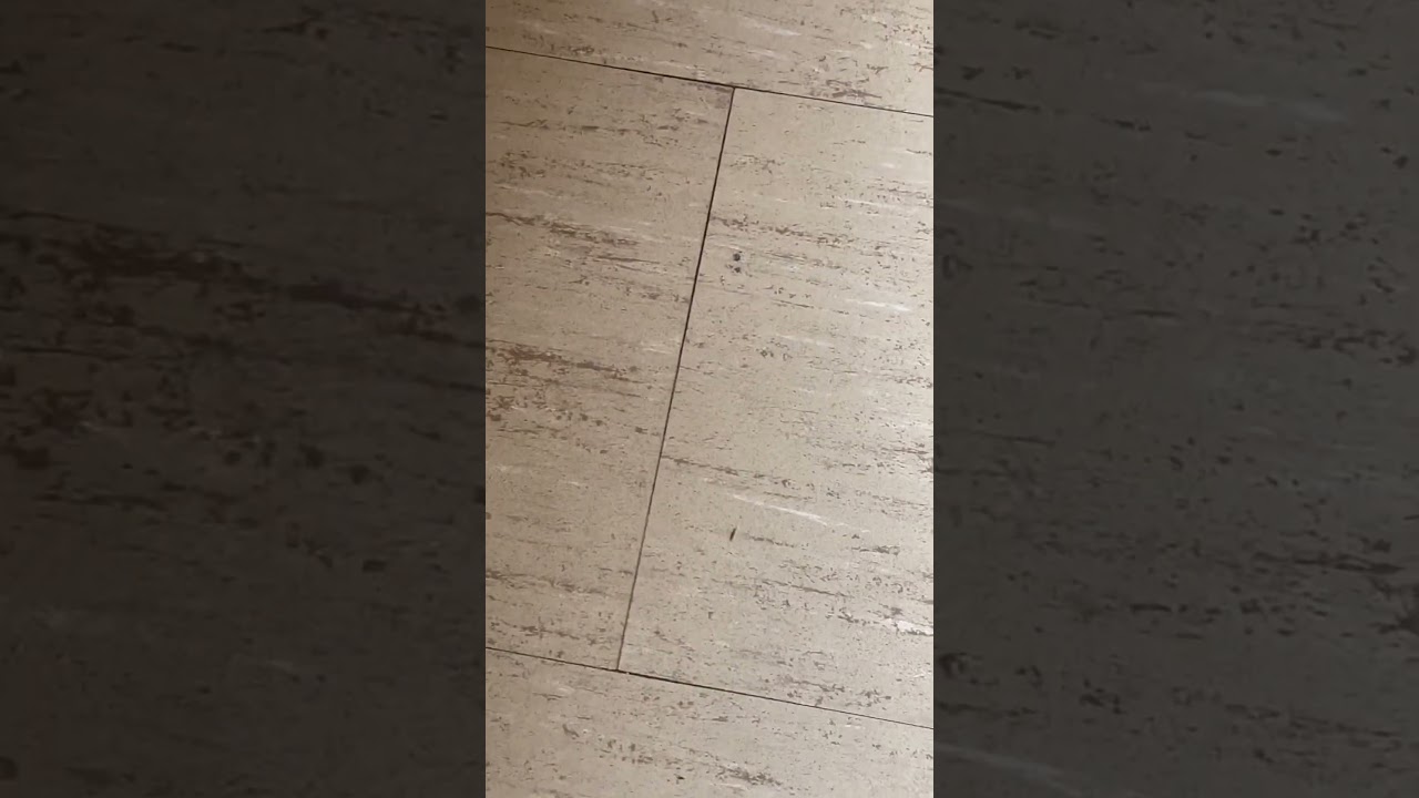 Ants ants ants. I can leave food out for days at home and will not see one ant. Skld is infested