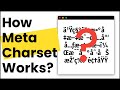 HTML Meta Charset Attribute | Why We Must Use meta charset in HTML?