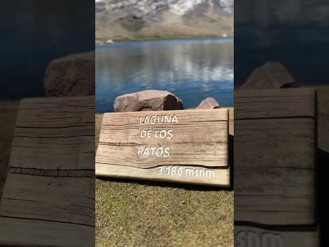 Laguna de Los patos 🦆 #explore #treking #mountains