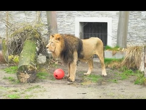 Nowy mieszkaniec w krakowskim zoo