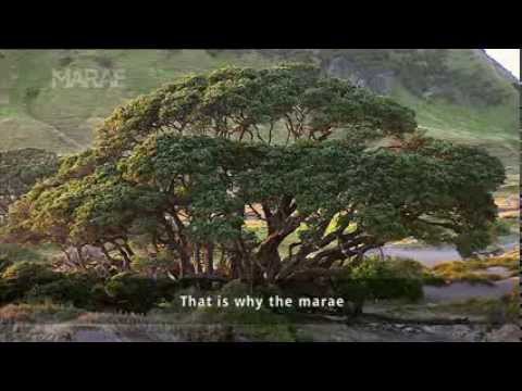 Toku Kainga My Home  - Mahue Dewes - Horoera