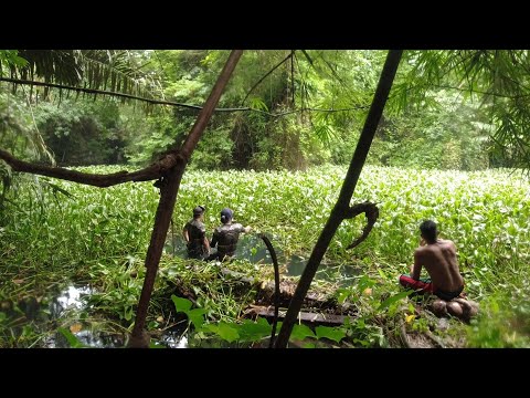 SE02EP049 Part 3 - BUWIS BUHAY sa ILALIM ng mga MAKAKAPAL na Water Lilies - Tiaong Quezon