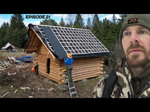 Winter Log Cabin Build on Off-Grid Homestead |EP21|
