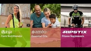 New Zija Divisions Introduction