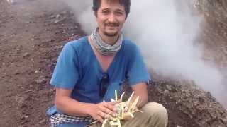 preview picture of video 'Homeopathy seminar The Bali Project with Tjok Gde Kerthyasa at Mt Batur'