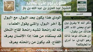 صورة 1850 - الفرق بين الودي والمني - نور على الدرب