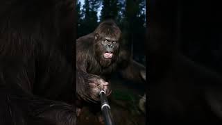 Bigfoot and Yeti get chased by Wendingo! Bigfoot vlog.